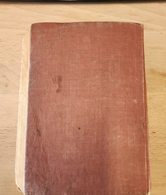 VTG THE RED MUSTANG WO STODDARD HARDCOVER 1890