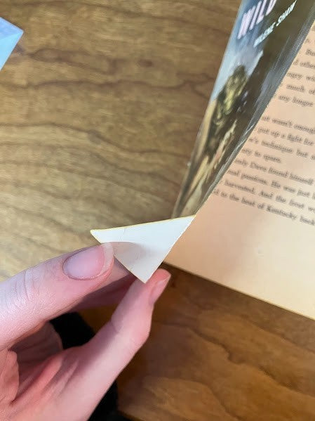 Vtg Paperback - Tame the Wild Flesh - Wilene Shaw