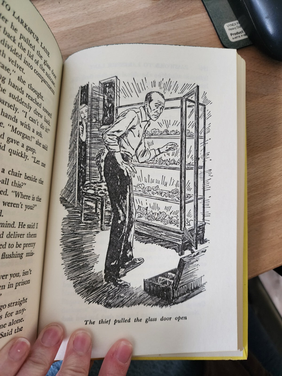 The Password to Larkspur Lane (Nancy Drew, Book 10) Hardcover book