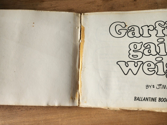 Vtg Book Garfield Gains Weight - Jim Davis His 2nd Book-Garfield likes Lasagna