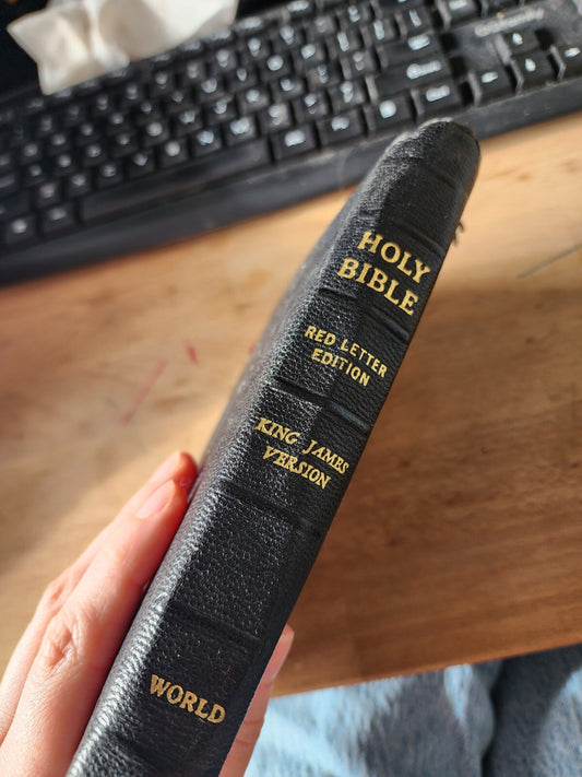 Vtg HOLY BIBLE KJV Leather Zippered Red Letter Edition World Illustrated