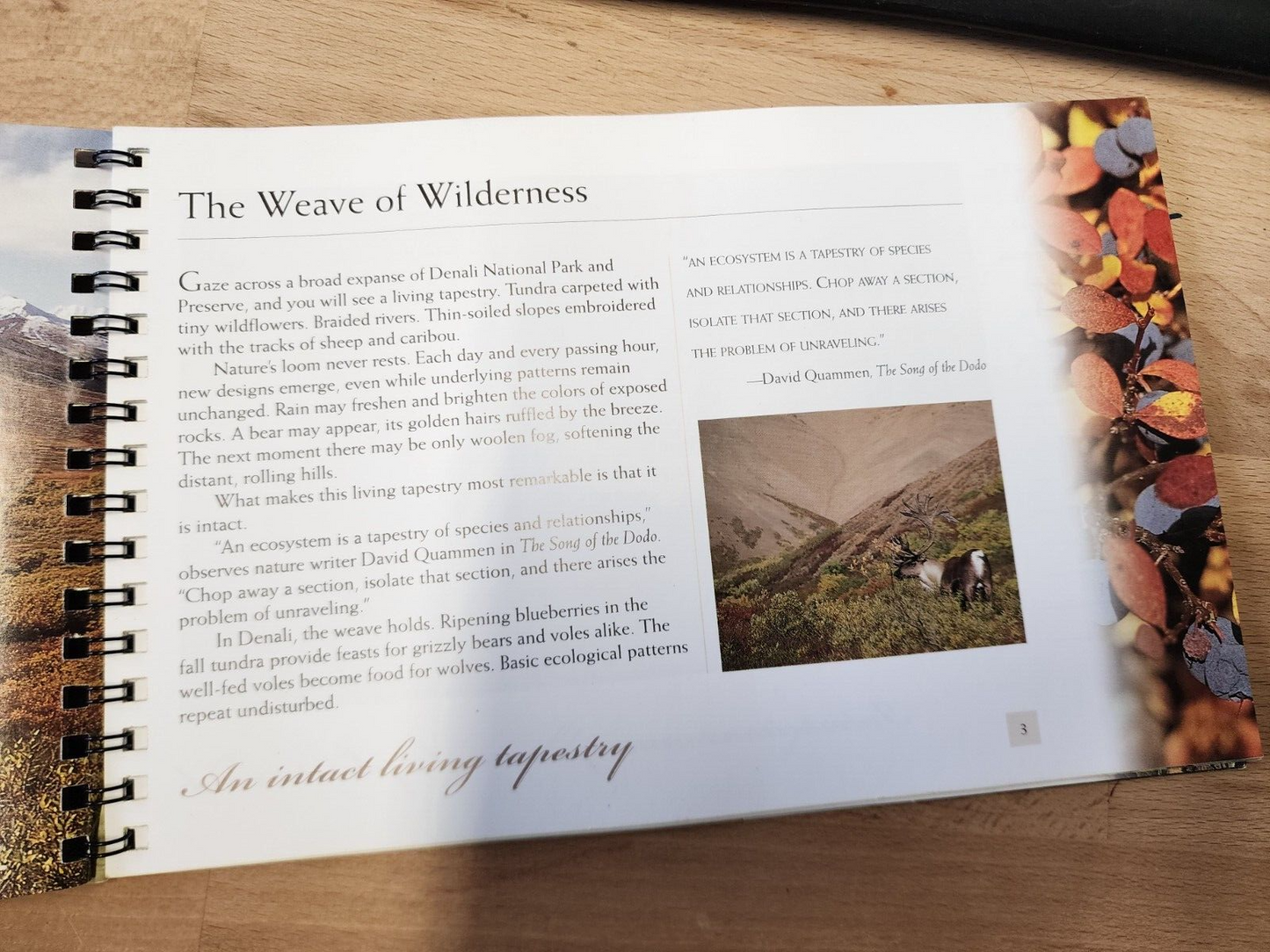 Denali: A Living Tapestry (A Wildnerness Tour Companion)