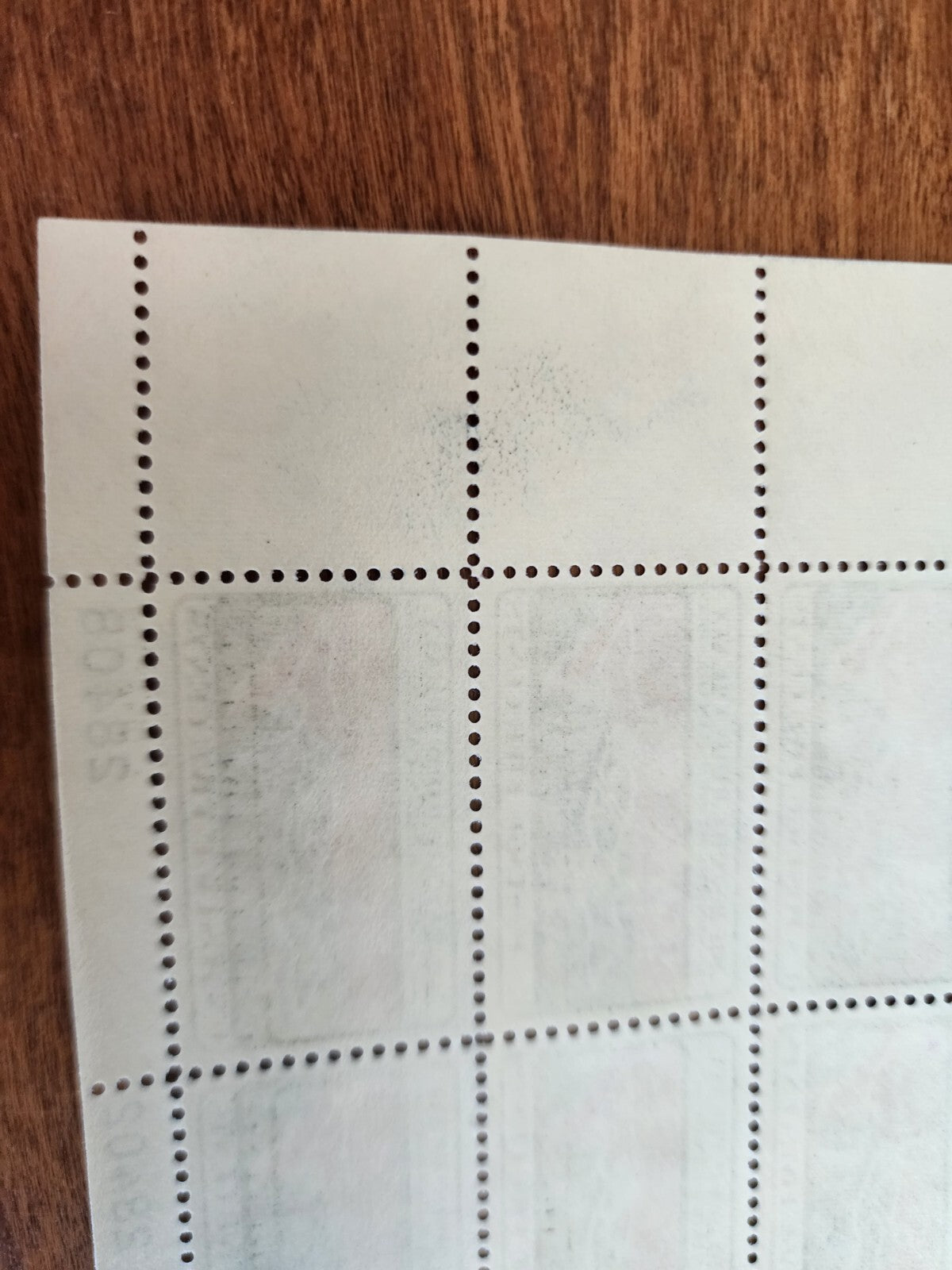 Migratory Bird Treaty 5c Stamp Block of 6, 28402 & 24808