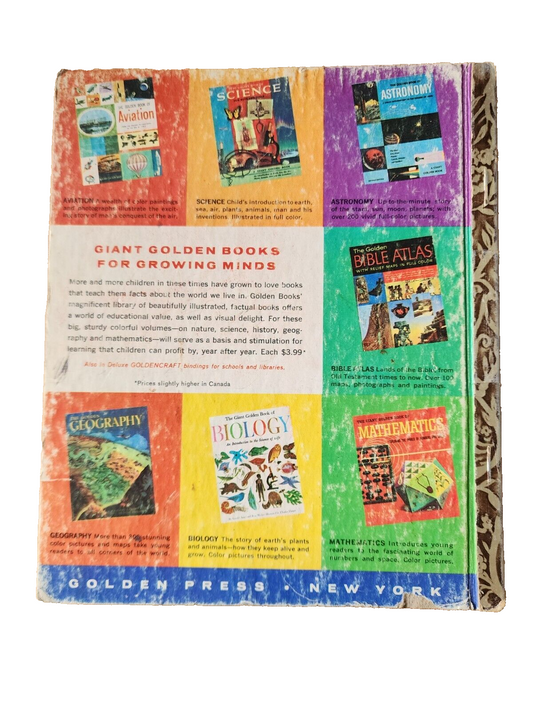 Walt Disney's Lady - A little golden book 29c