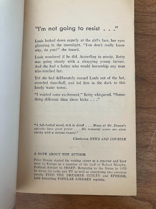 Vtg Paperback - Peter W. Denzer: THE LAST HERO