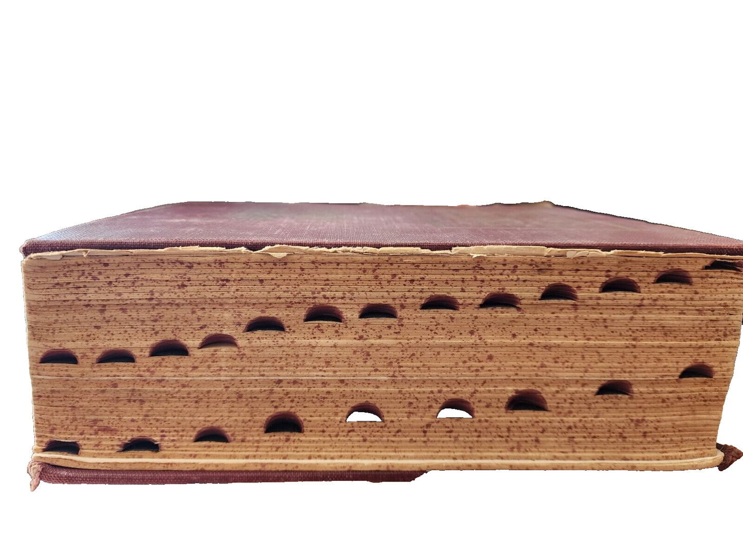 Vintage Webster's Complete Reference Dictionary and Encyclopedia 1940-1949