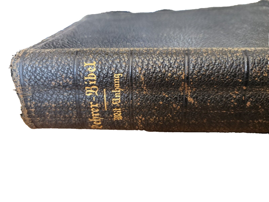 VTG German Holy Bible New Testament Psalm antique book