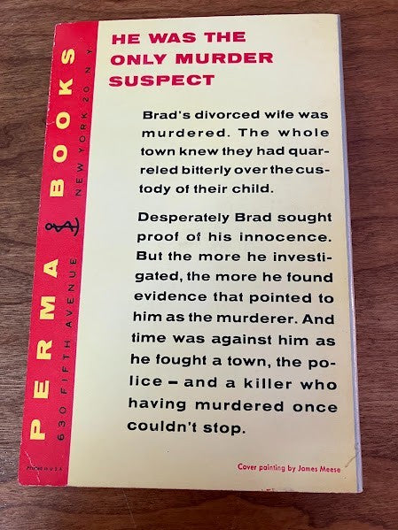 Vtg Paperback - Death in the Wind Mystery - Edwin Lanham