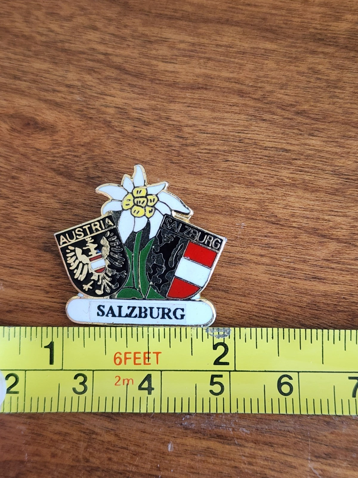 City of Salzburg, Austria Crest Pin