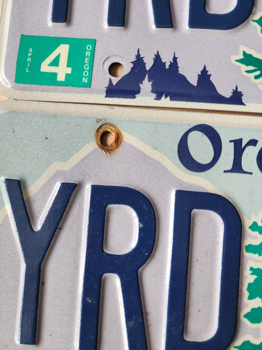 Set of 2 random letters Oregon License Plate