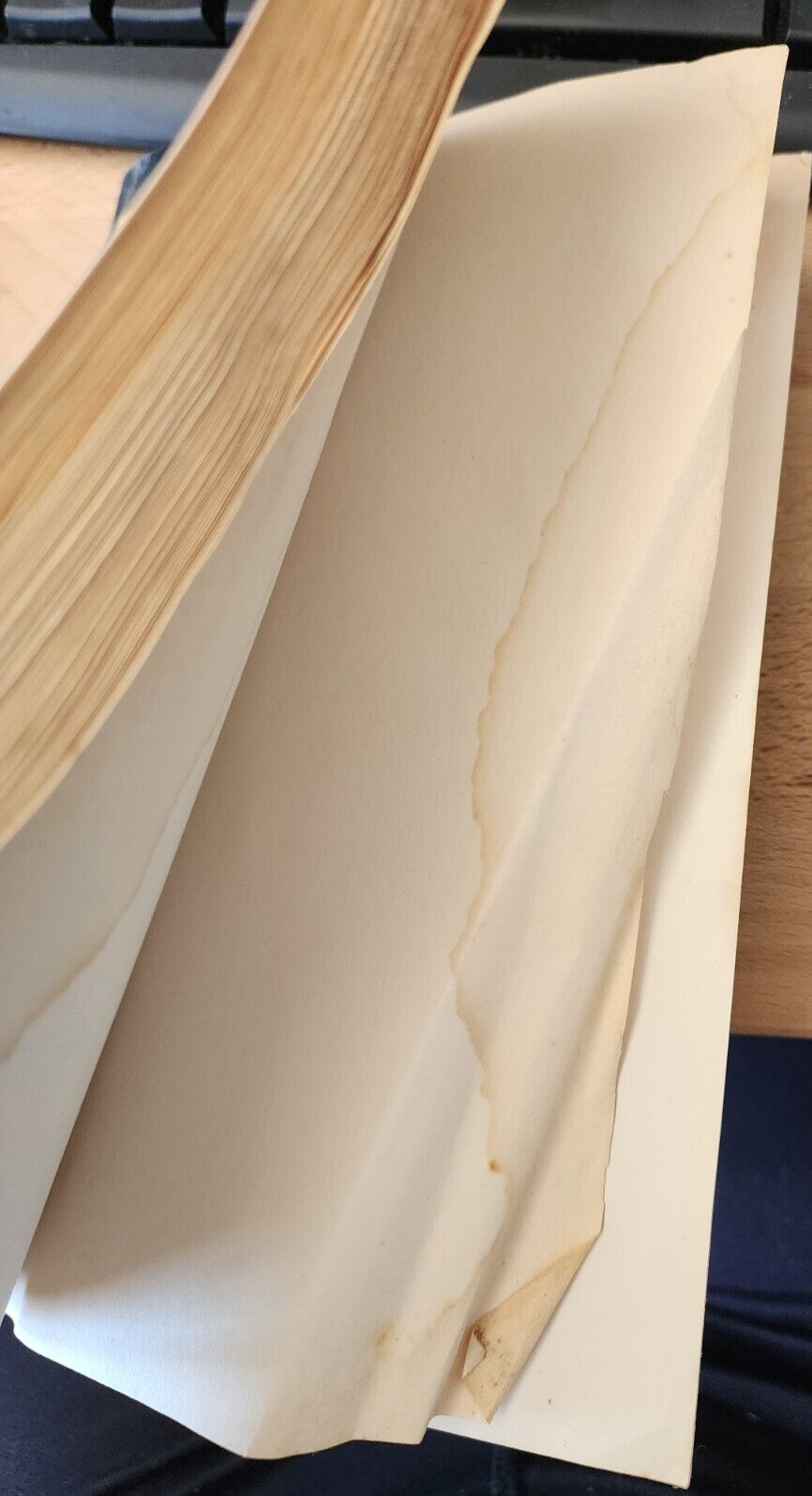 Satan's Music Exposed by Salem Kirban & Lowell Hart