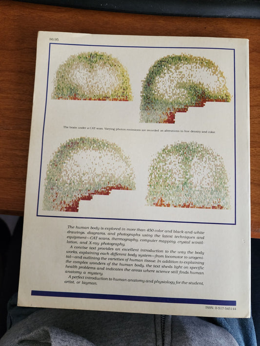 The Color Atlas of Human Anatomy - Hardcover, by VANNINI Vanio, et al - Good