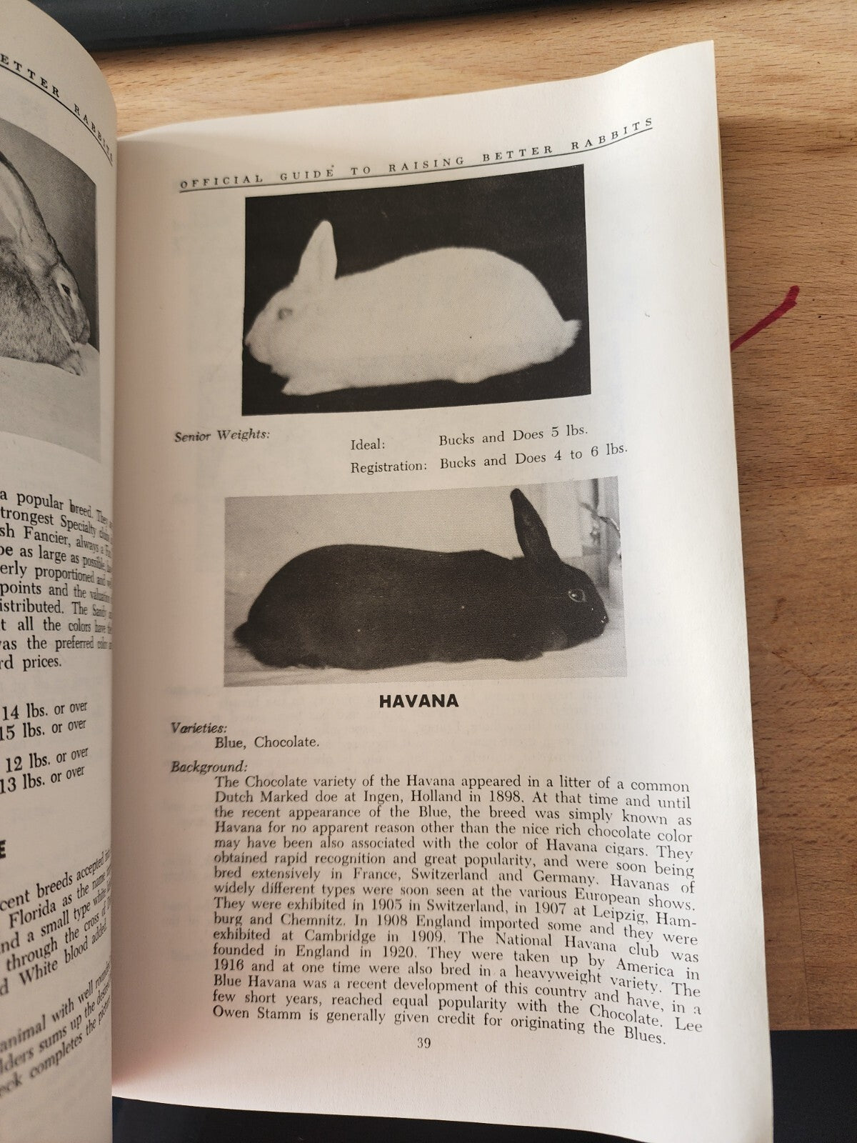 The American Rabbit Breeders Association Official Guide Raising Rabbits- GOOD