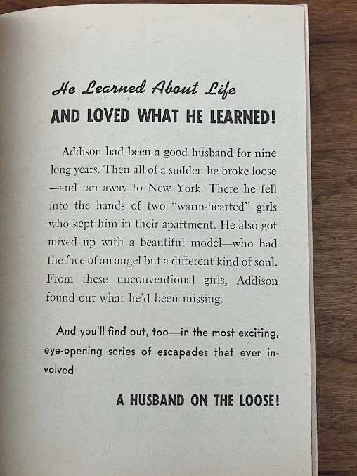 Vtg Paperback - THE HUSBAND WHO RAN AWAY by Hildegarde Dolson