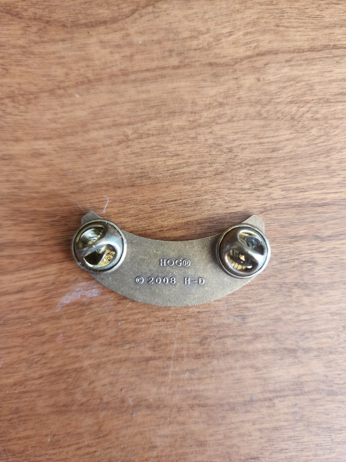 Harley Davidson Owners Group HOG 2009 Pin