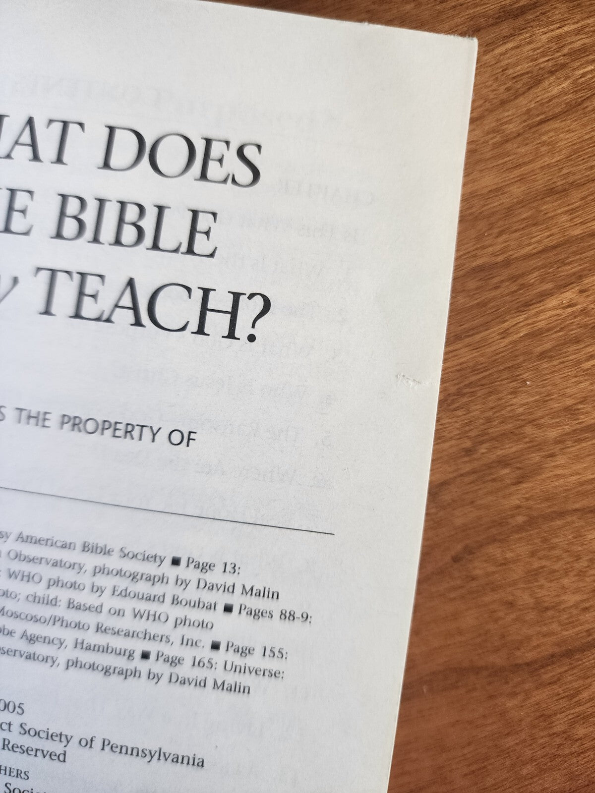 What Does the Bible Really Teach? 2009 Paperback Book