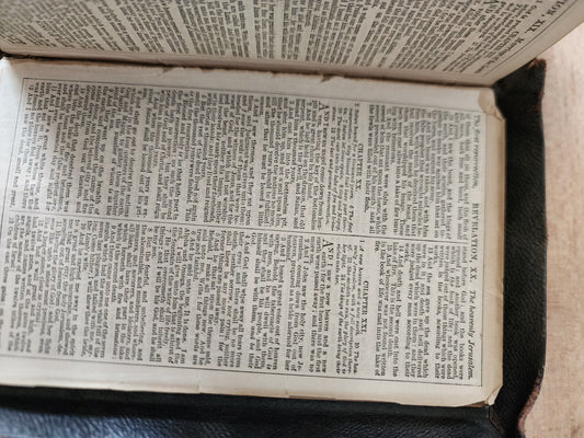 Holy Bible "moaps" 19th century - Leather