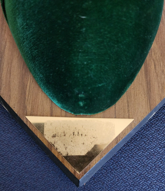 Whitetail Deer Antlers Wall Mount Taxidermy Michigan Buck Horn mounting Kit