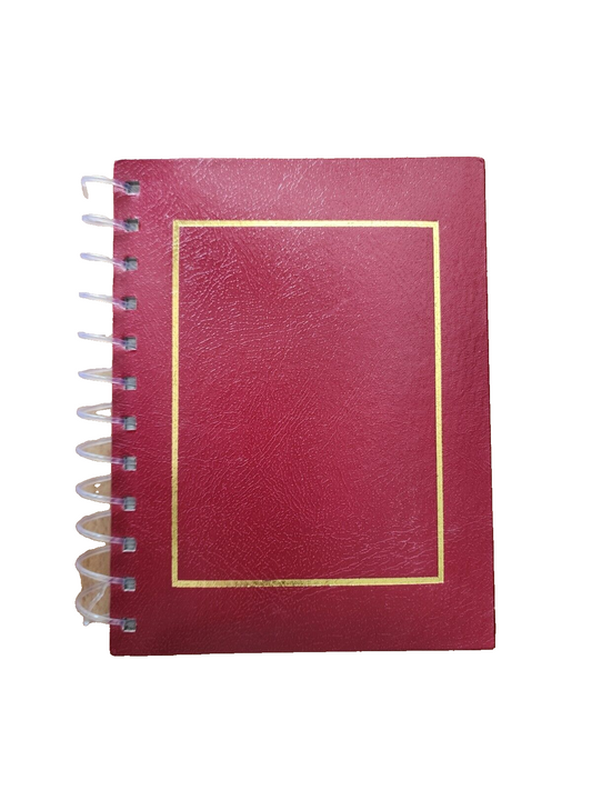 Photo Album 4X6, Small Red Mini Capacity Leather Photo Album