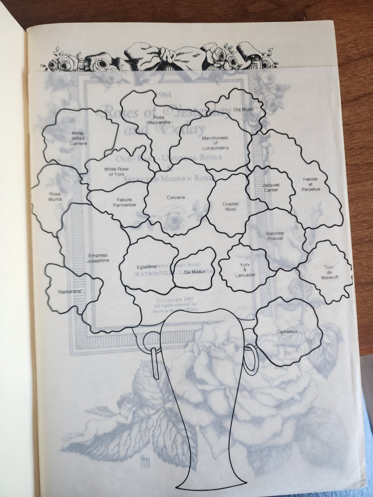 Roses of yesterday and Today 1984, Old-Rare-Unusual Roses