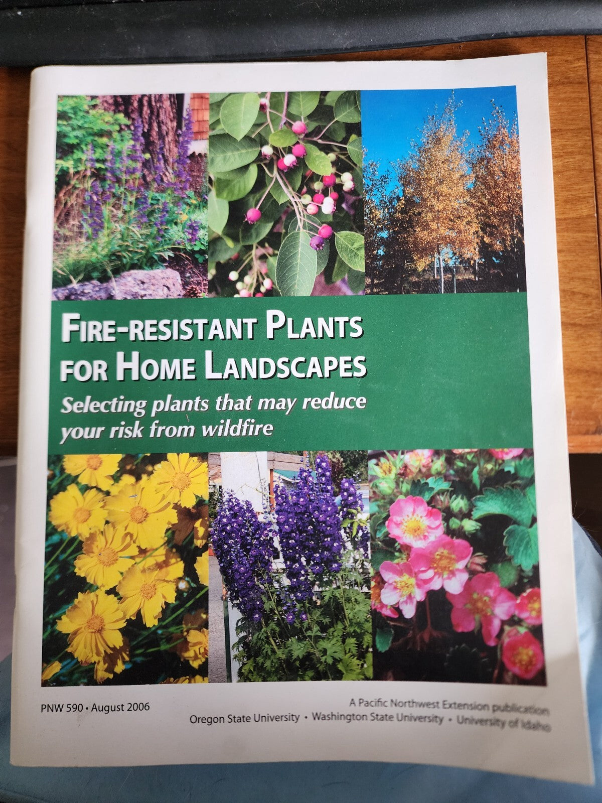 Fire-Resistant Plants For Home Landscapes 2006 OSU