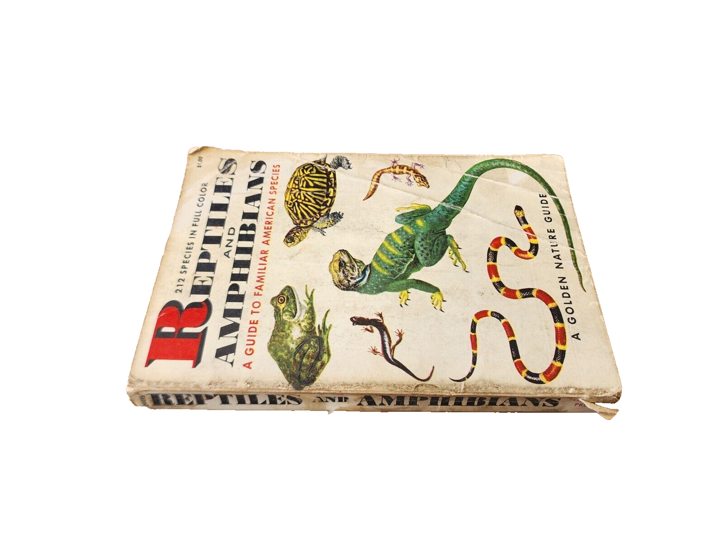 Reptiles and Amphibians A Golden Nature Guide 212 Species In Full Color 1956