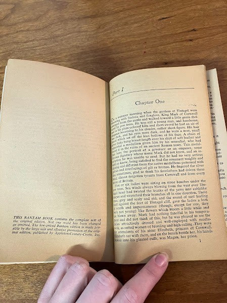 Bantam Book - The Enchanted Cup Dorothy James Roberts