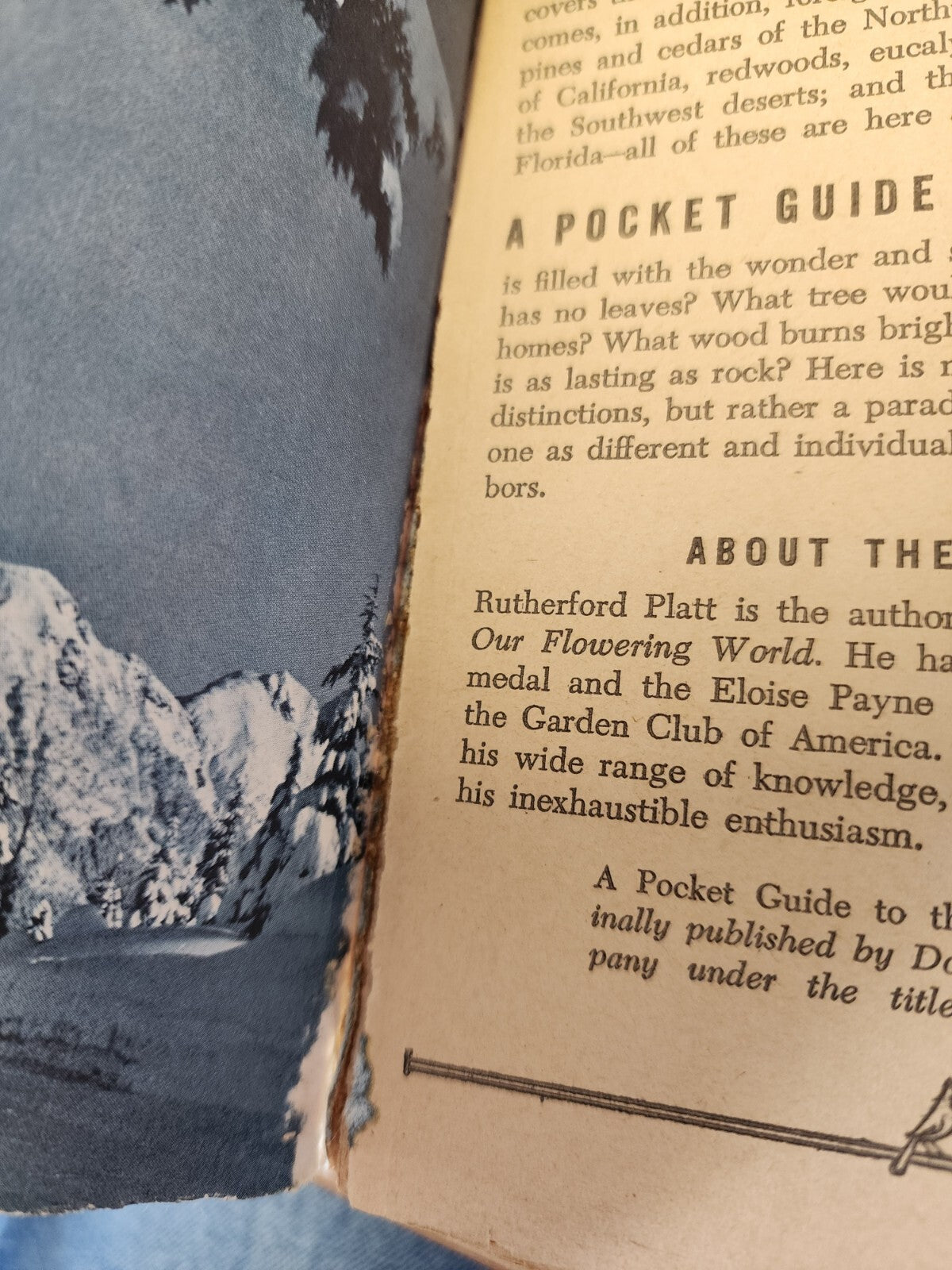 A Pocket Guide To Trees
