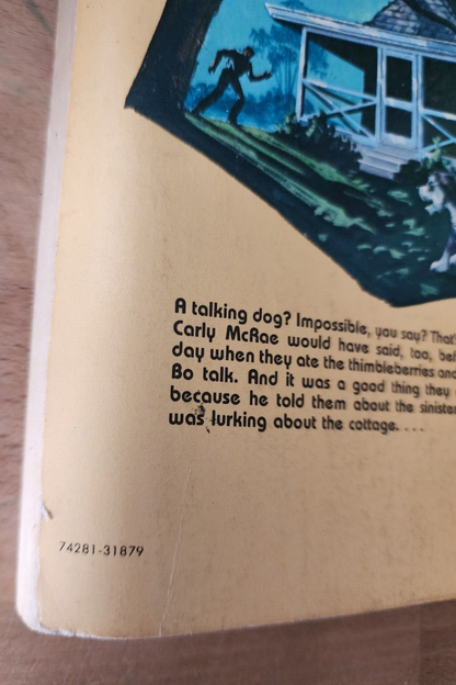 TEE-BO The Incredible Talking Dog and The Persnickety Prowler