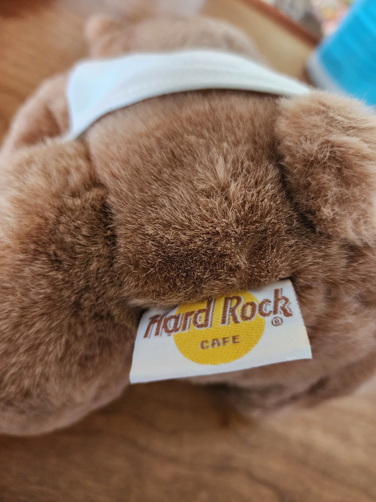 Hard Rock Cafe Teddy Bear 9" Plush