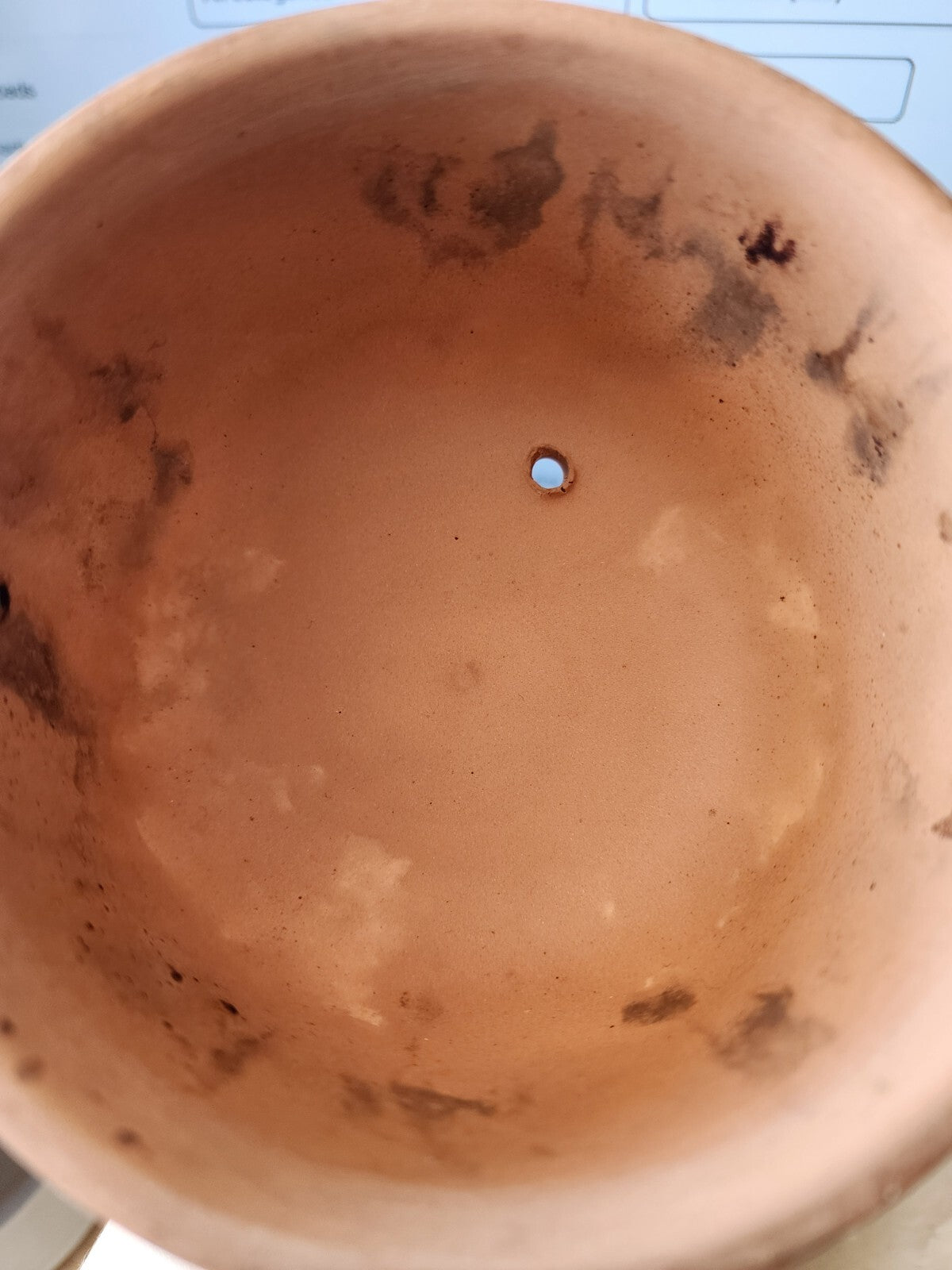 Terra Cotta Domed Garlic Roaster Baker Cooker Keeper Storage