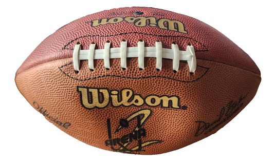 Wilson Official Arena Ironman Football David Baker