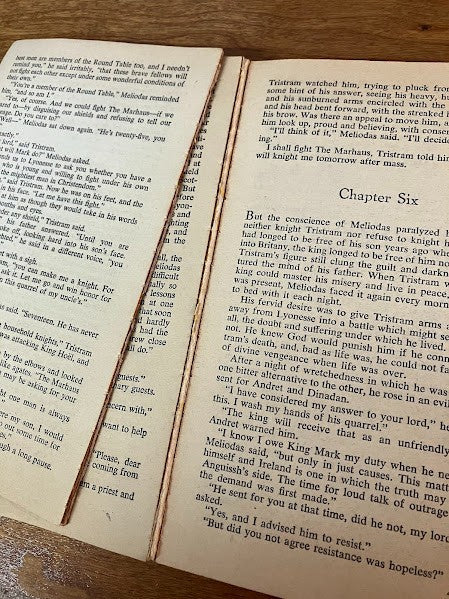 Bantam Book - The Enchanted Cup Dorothy James Roberts