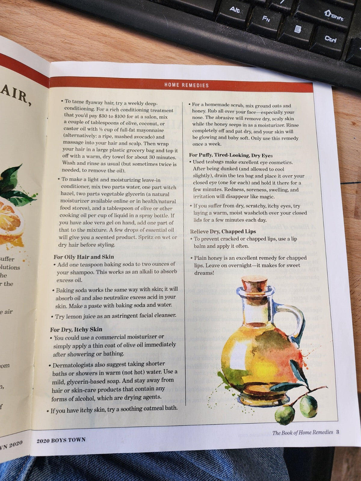 Boys Town The Book of Home Remedies -The Old Farmer's Almanac Tips & Tricks 2020