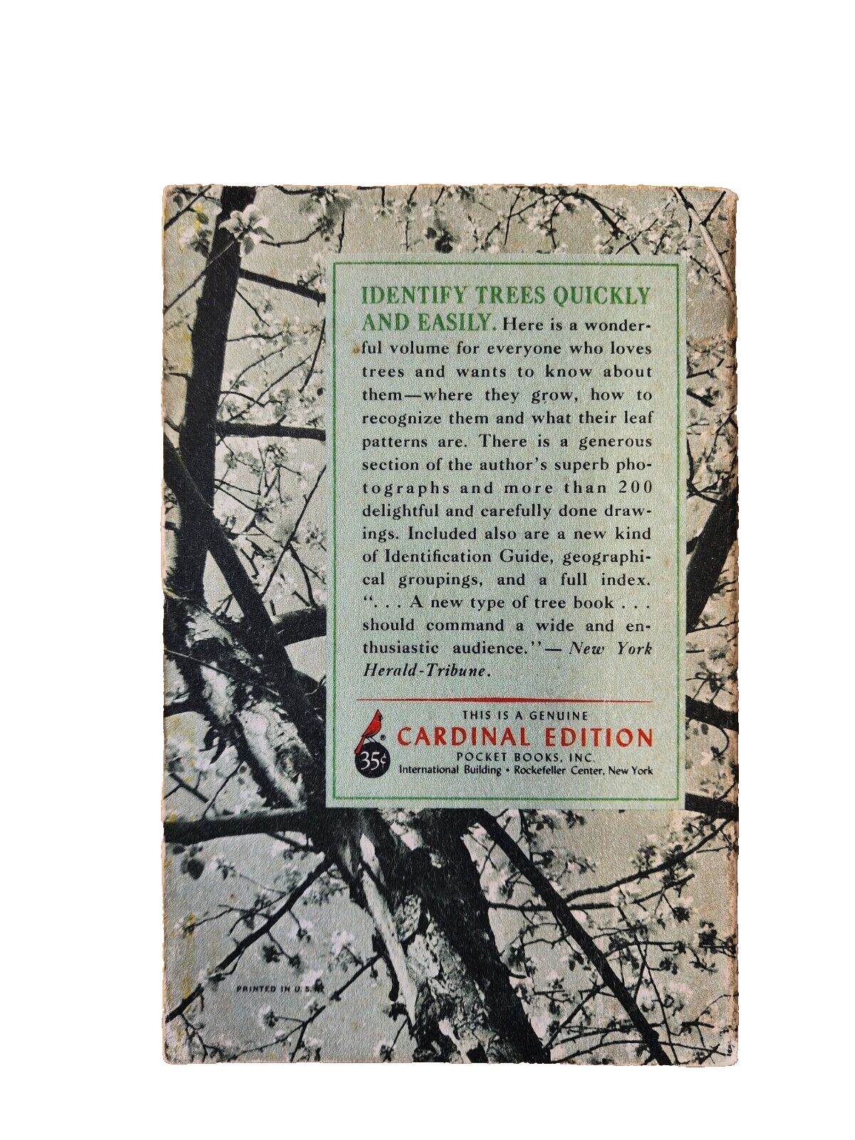 A Pocket Guide To Trees