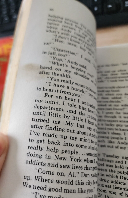 Vtg Paperback Holy Smokies by Al Palmquist 1977