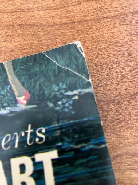 Dell Book - Mary Roberts Rinehart The Swimming Pool