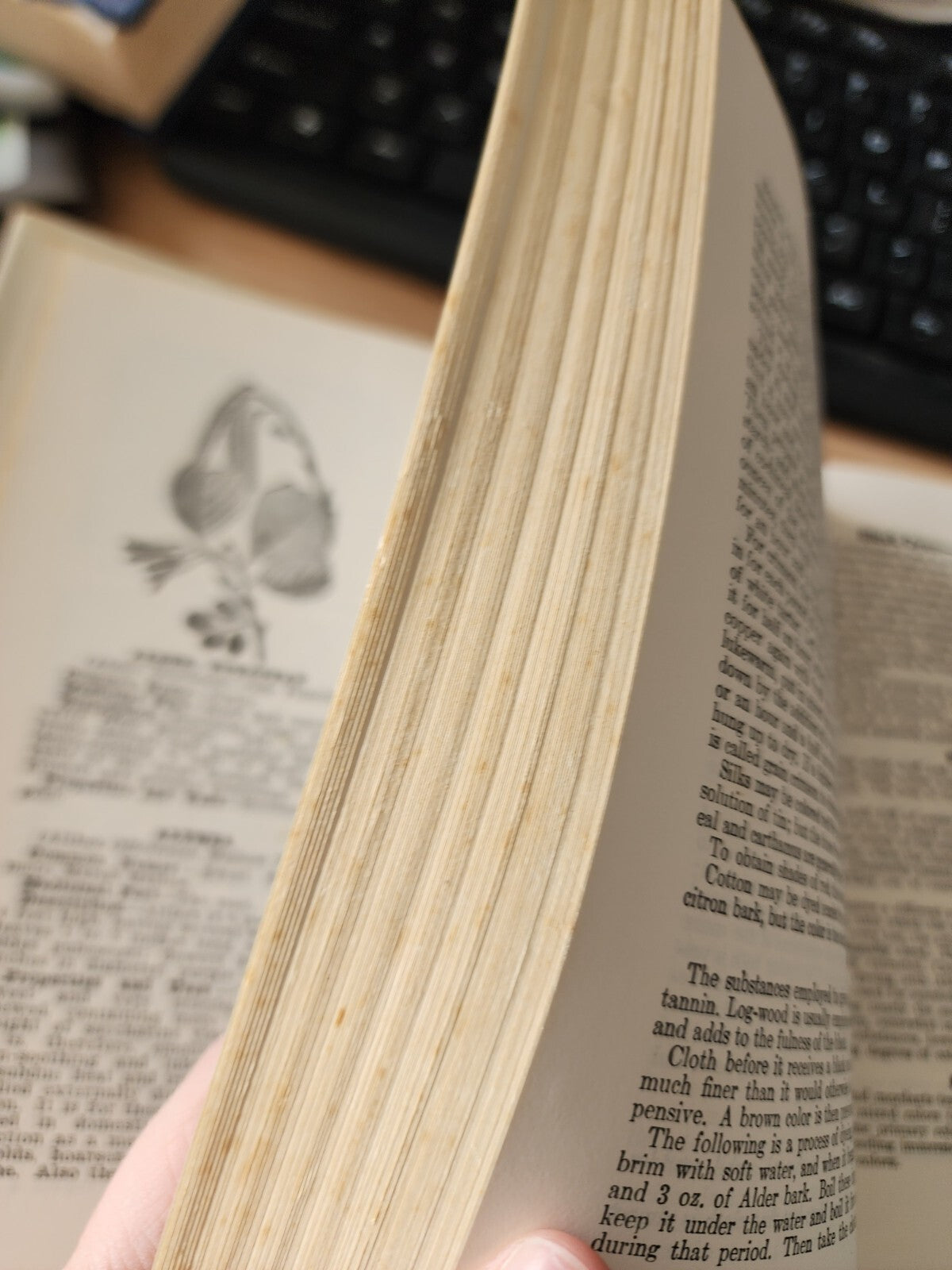 The Herbalist by Joseph E Meyer 6th Printing 1970