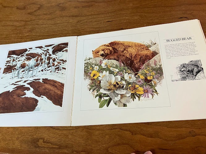VISIONS: THE ART OF BEV DOOLITTLE - signed
