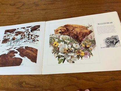 VISIONS: THE ART OF BEV DOOLITTLE - signed