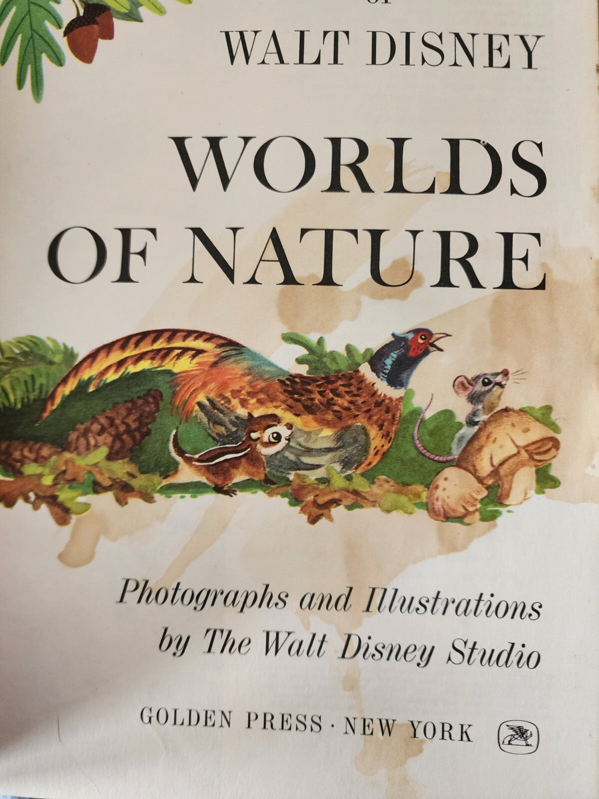 Walt Disney's Worlds of Nature Vintage 1965 Hardcover - Acceptable