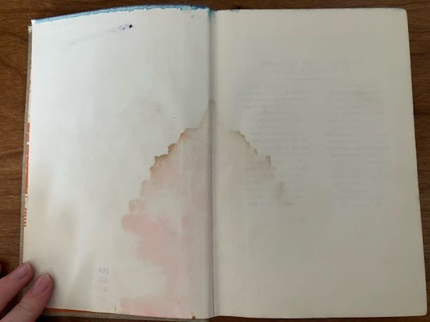 Hunting for Hidden Gold By Franklin W. Dixon