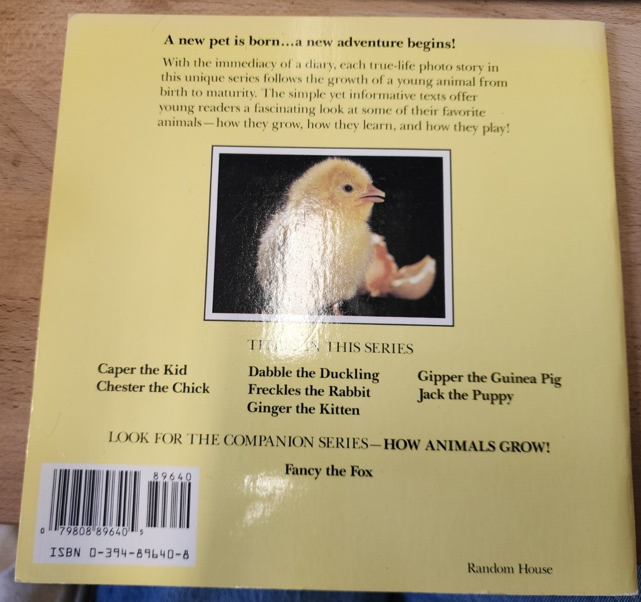 Chester the Chick (How Your Pet Grows) Paperba by Burton, Jane