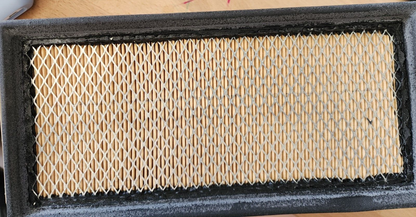 Hastings AF805 Air Filter