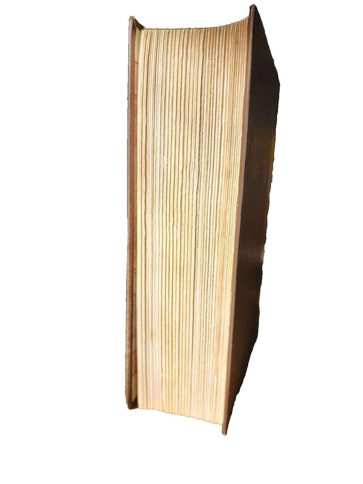 The Journeyer - Gary Jennings - GOOD