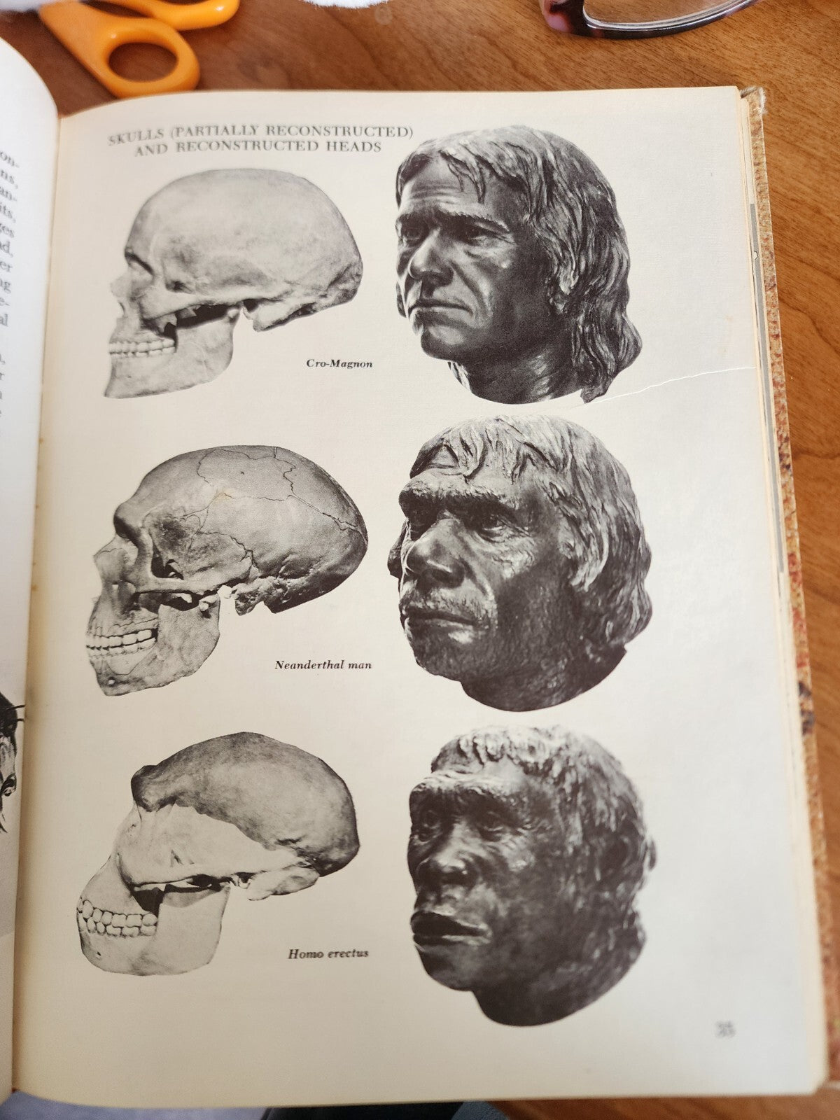 Man From the Beginning - Stanley & Ruth S. Freed (HC, 1967)