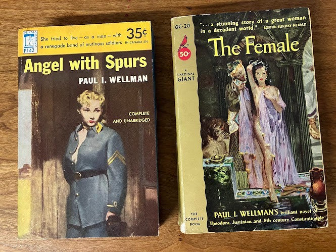 Vtg Paperbacks - Paul Wellmans - lot of 2