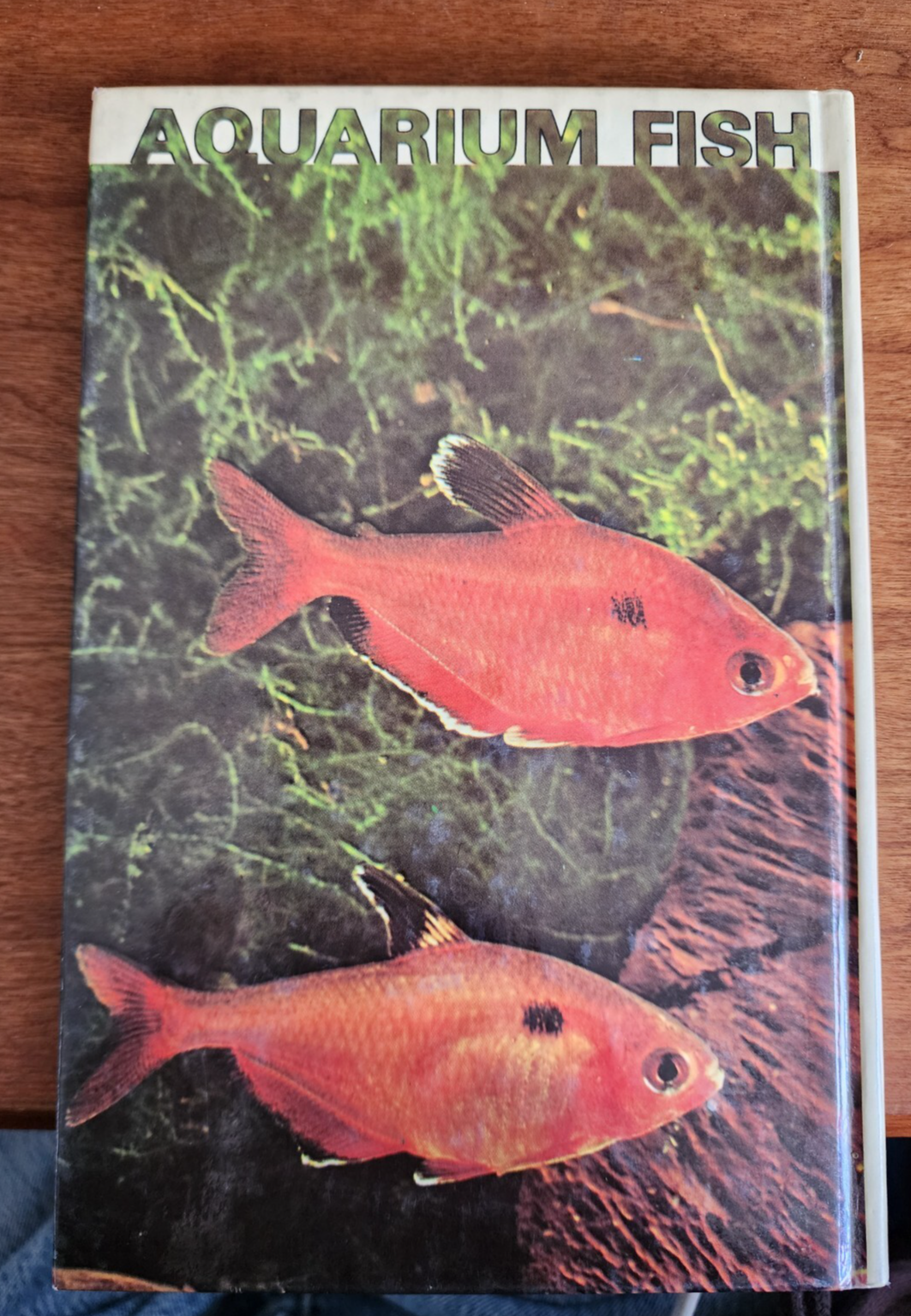 Aquarium Fish - Hardcover By U. Erich Friese