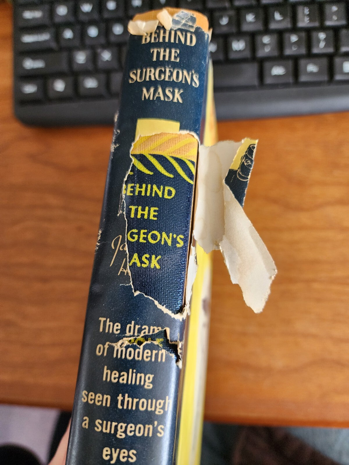 Behind the Surgeon's Mask by James Harpole [Hardcover]