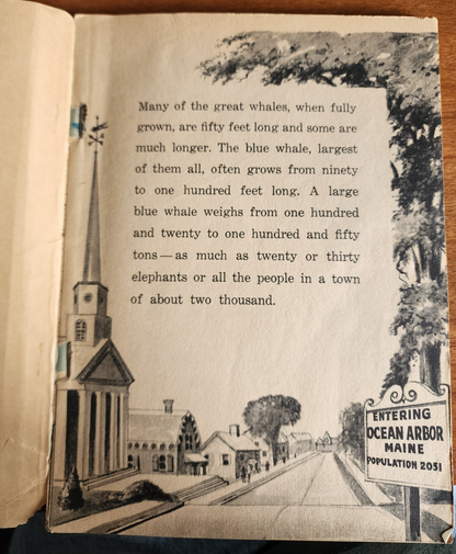 The Great Whales by Herbert S. Zim - 1972